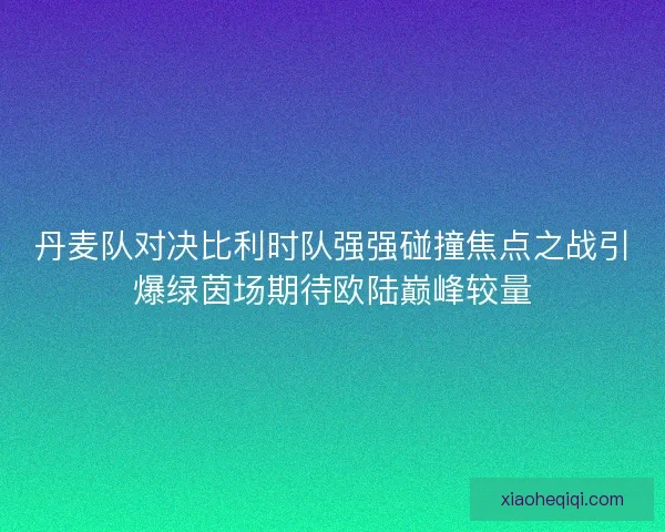 丹麦队对决比利时队强强碰撞焦点之战引爆绿茵场期待欧陆巅峰较量